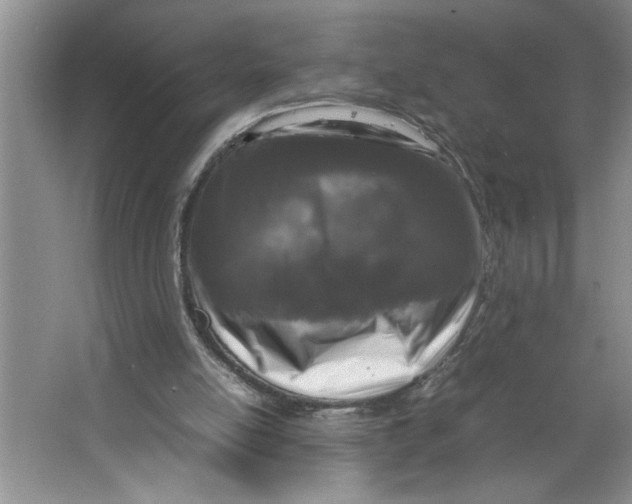 X0000064730054200603031652