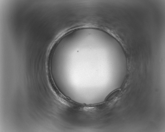 X0000064730055200603031652