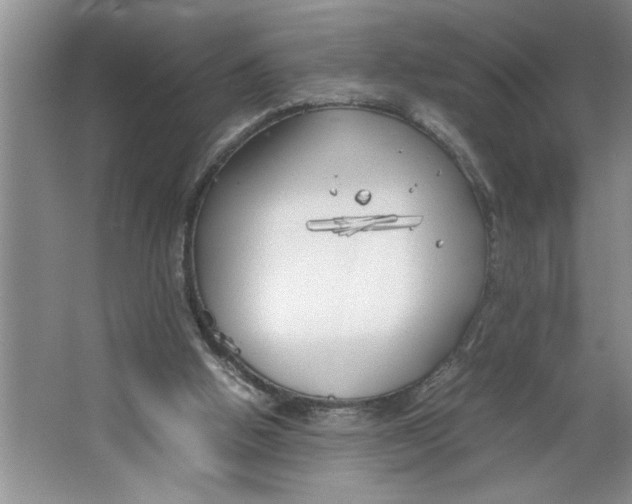 X0000064730058200603031652