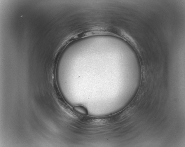 X0000064730059200603031652