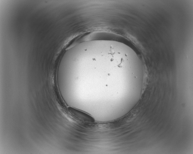 X0000064730060200603031652