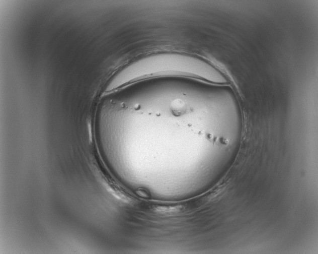 X0000064730061200603031652