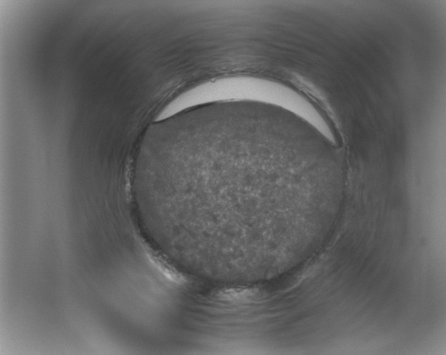 X0000064730065200603031652