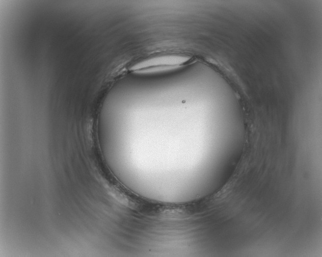 X0000064730066200603031652