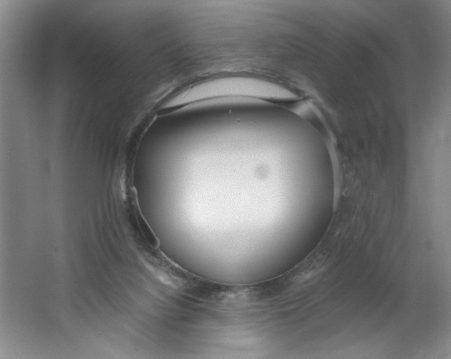 X0000064730068200603031652