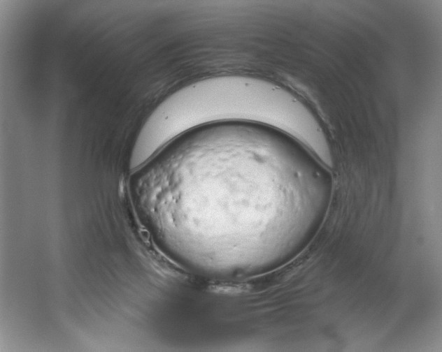 X0000064730069200603031652