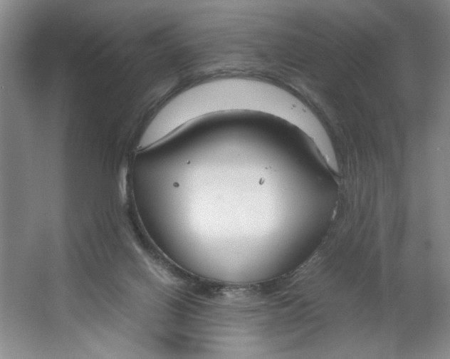 X0000064730070200603031652