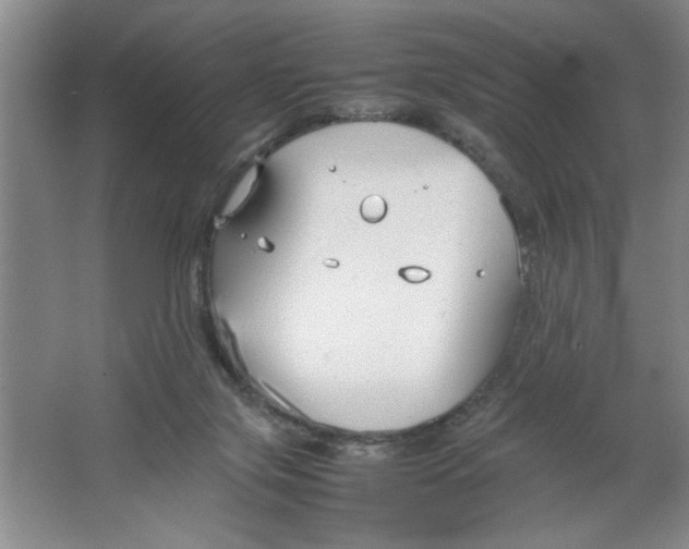 X0000064730071200603031652