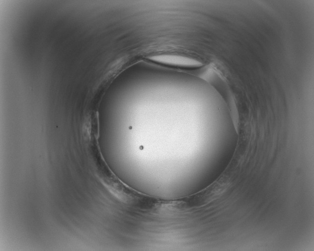 X0000064730072200603031652