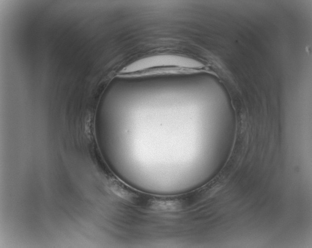 X0000064730073200603031652