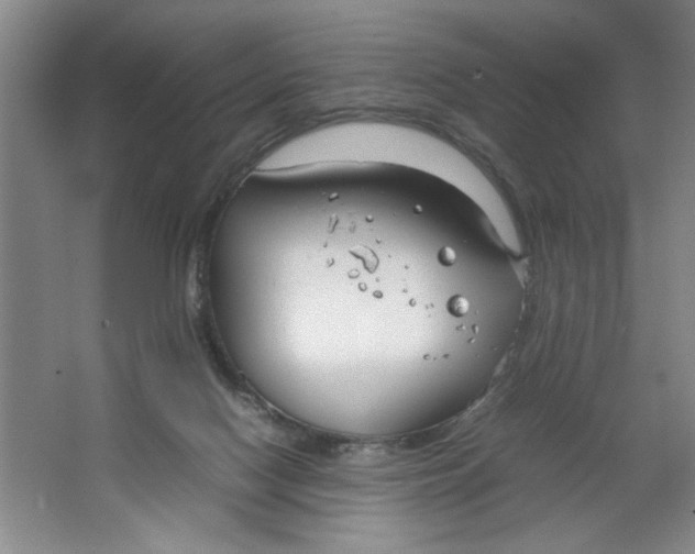 X0000064730074200603031652