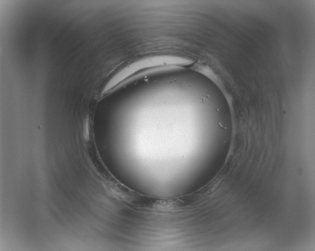 X0000064730076200603031652