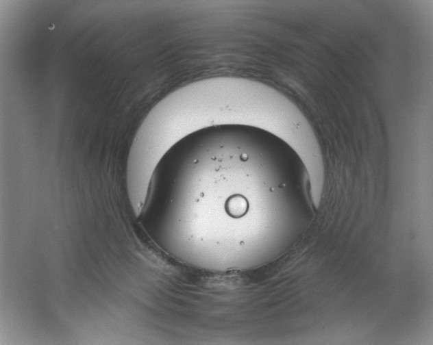 X0000064730077200603031652