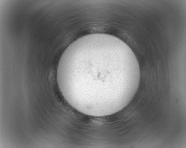 X0000064730079200603031652