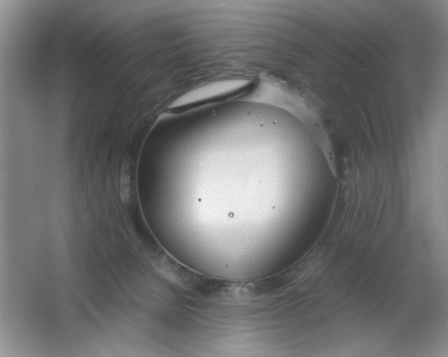 X0000064730080200603031652