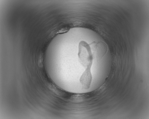 X0000064730082200603031652