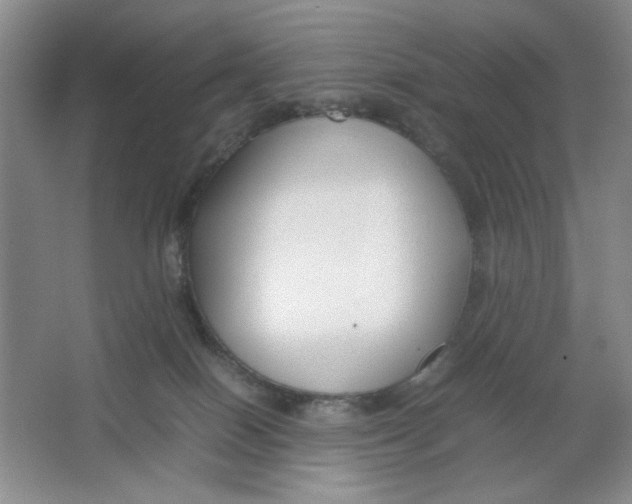 X0000064730086200603031652