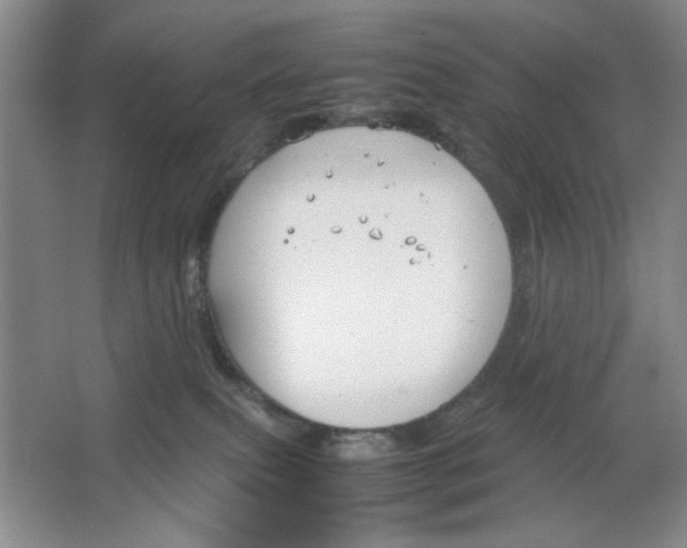 X0000064730087200603031652