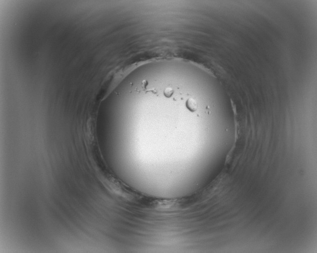 X0000064730088200603031653