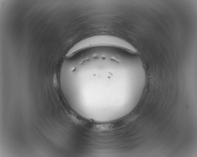 X0000064730089200603031653