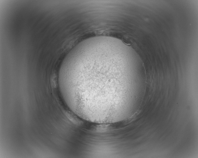 X0000064730090200603031653