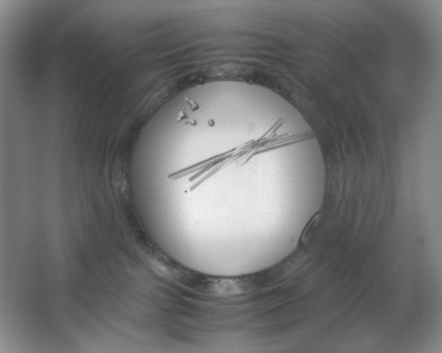 X0000064730091200603031653