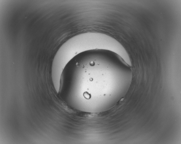 X0000064730092200603031653