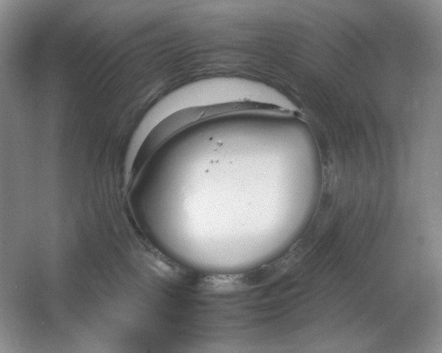 X0000064730093200603031653