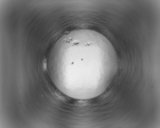 X0000064730095200603031653