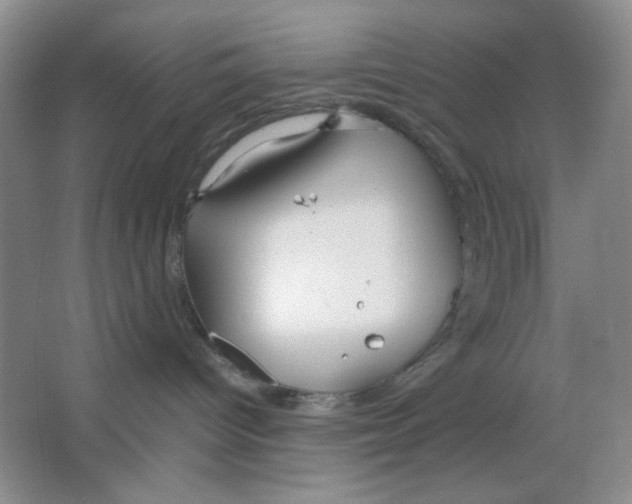 X0000064730096200603031653