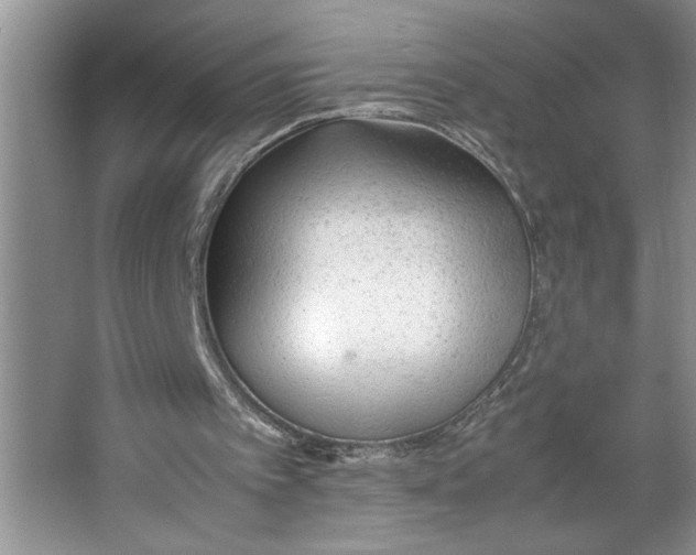 X0000064730097200603031652