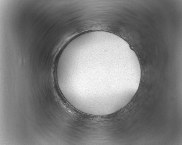 X0000064730098200603031652