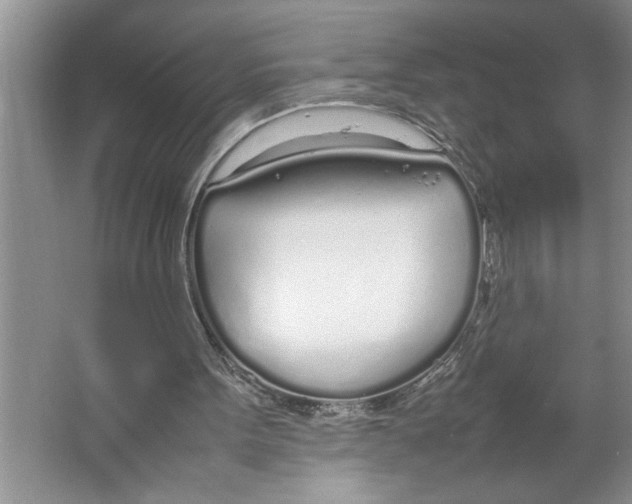 X0000064730099200603031652