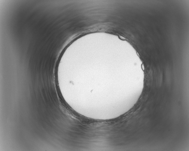 X0000064730100200603031652