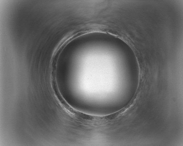 X0000064730101200603031652