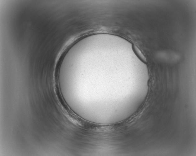 X0000064730102200603031652