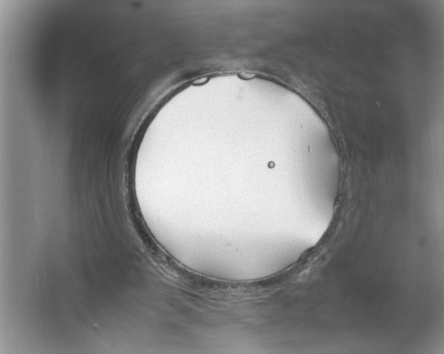 X0000064730103200603031652