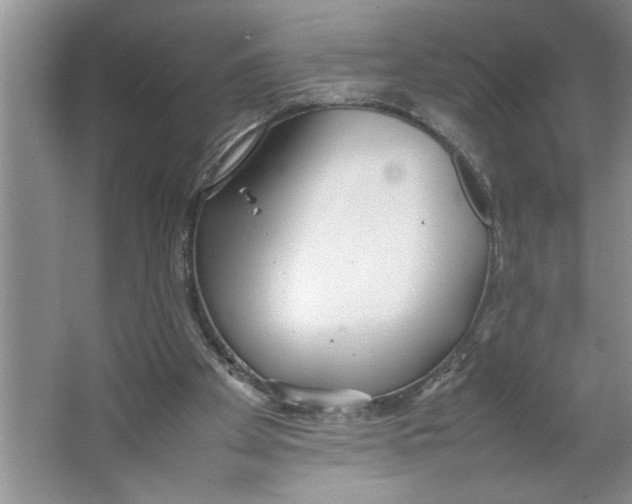 X0000064730105200603031652