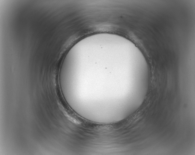 X0000064730106200603031652