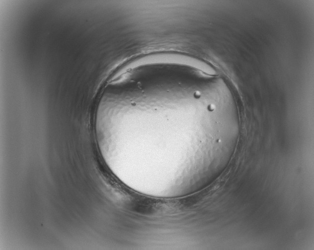 X0000064730107200603031652