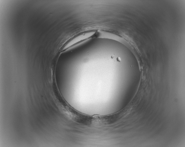 X0000064730109200603031652