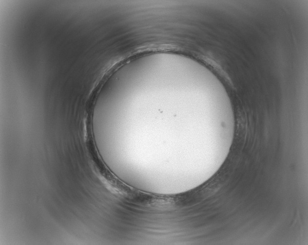 X0000064730110200603031652