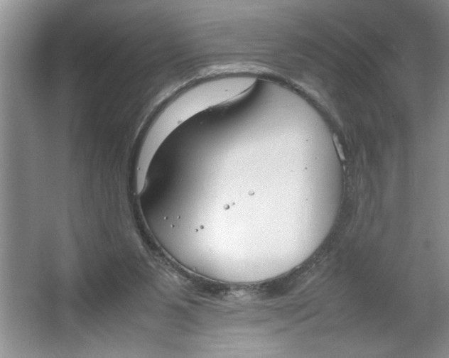 X0000064730111200603031652