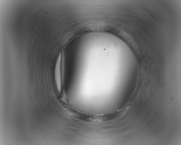 X0000064730113200603031652