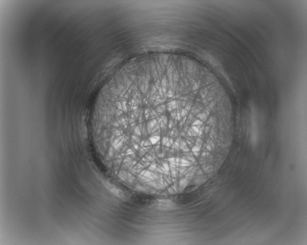 X0000064730114200603031652