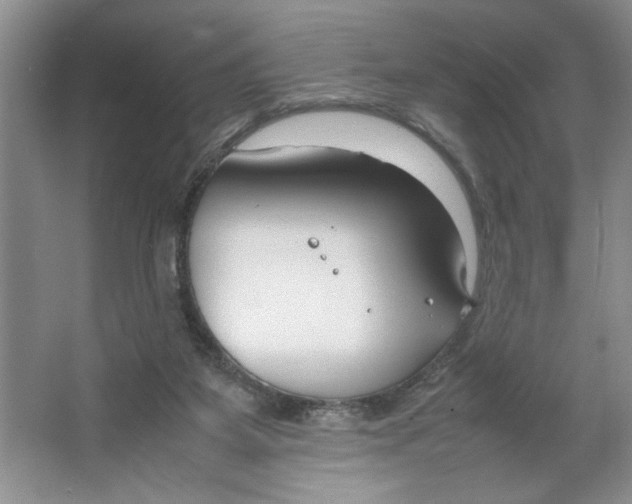 X0000064730115200603031652