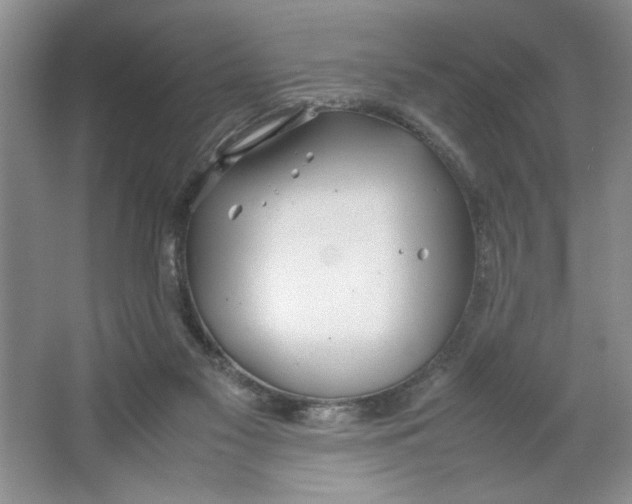 X0000064730117200603031652