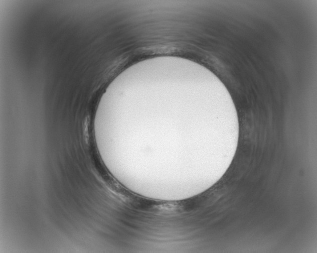 X0000064730118200603031651