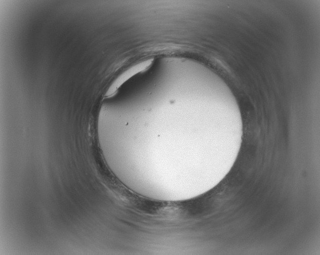 X0000064730119200603031651