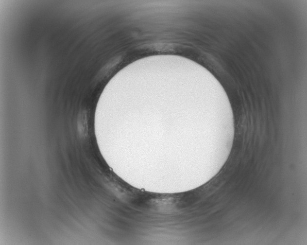 X0000064730120200603031651